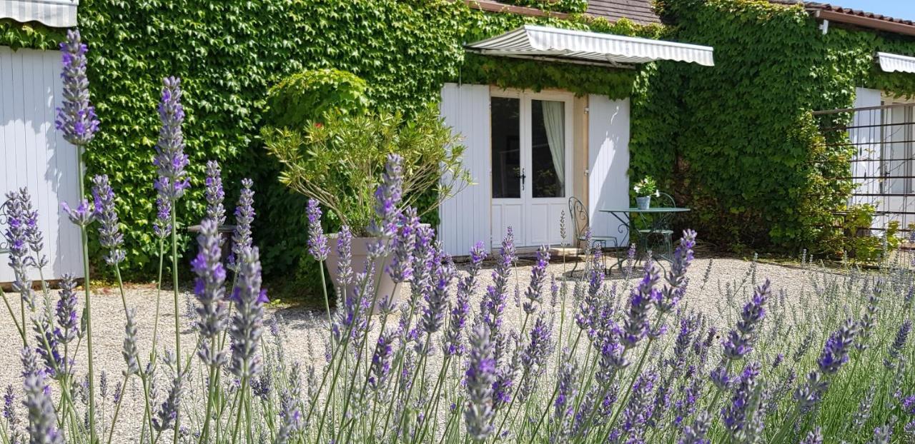 Le Clos-Lascazes Maison D'Hotes Le Buisson-de-Cadouin Екстериор снимка