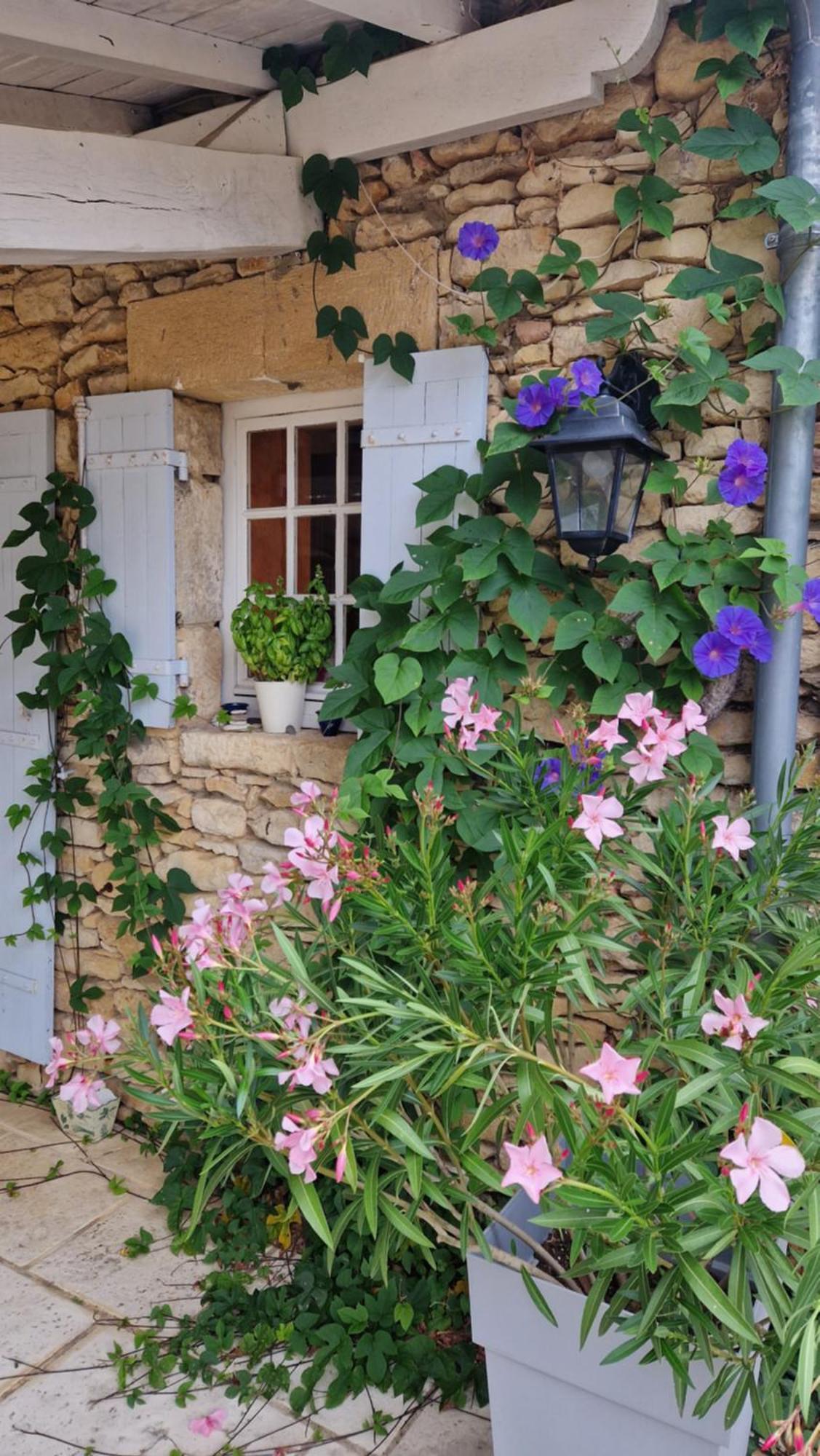 Le Clos-Lascazes Maison D'Hotes Le Buisson-de-Cadouin Екстериор снимка
